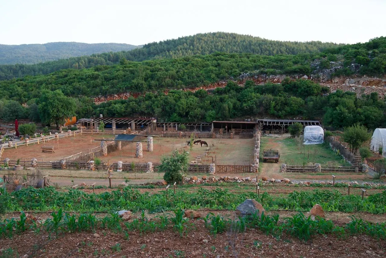 Üdülőközpont Yenice Vadi - Natural Life Village